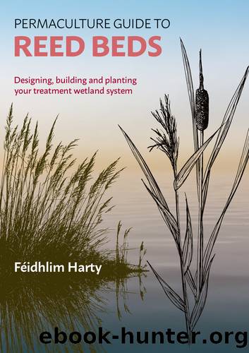 Permaculture Guide to Reed Beds by Féidhlim Harty