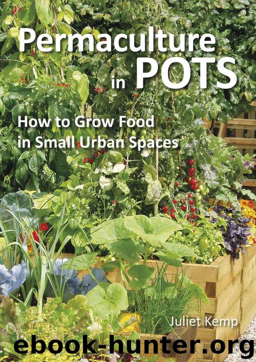 Permaculture in Pots by Juliet Kemp