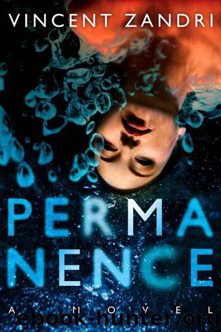 Permanence by Vincent Zandri
