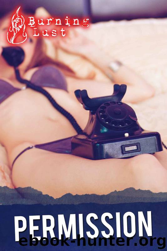 Permission 1: (BBW Erotic Romance, Phone Sex, FFM) by Burning Lust