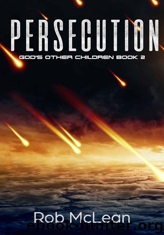 Persecution: God's Other Children. Book 2 by Rob Mclean