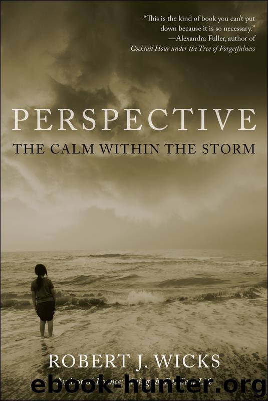 Perspective by Wicks Robert J