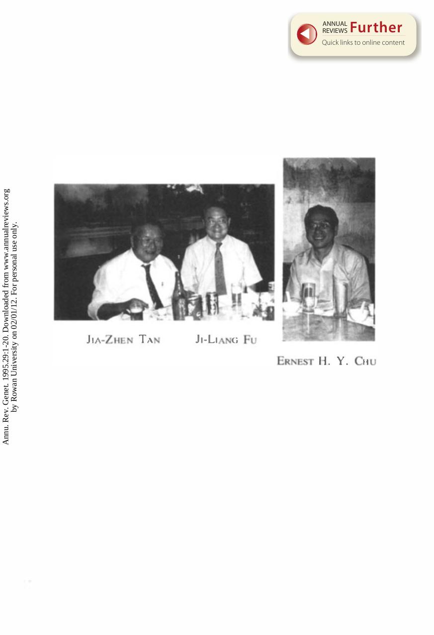 Perspectives on Genetics in China by J.L. Fu E.H.Y Chu & C.C. Tan