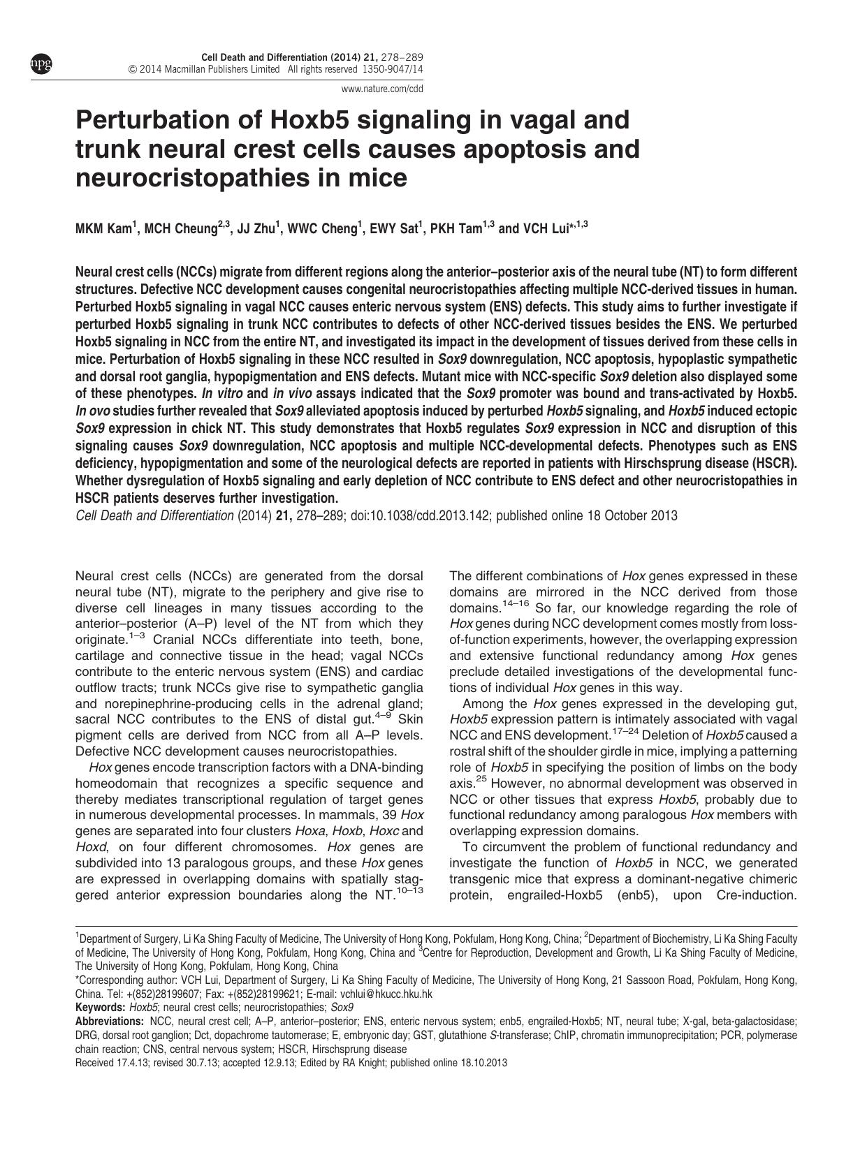 Perturbation of Hoxb5 signaling in vagal and trunk neural crest cells causes apoptosis and neurocristopathies in mice by M K M Kam & M C H Cheung & J J Zhu & W W C Cheng & E W Y Sat & P K H Tam & V C H Lui