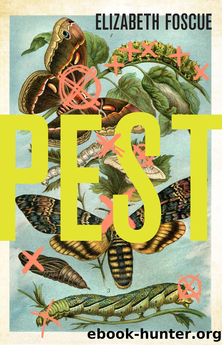 Pest by Foscue