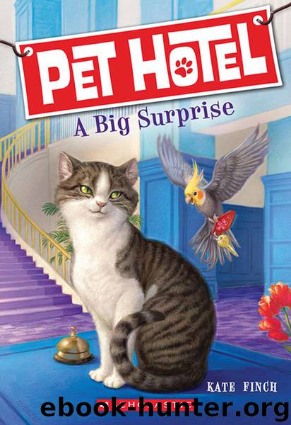 Pet Hotel #2: A Big Surprise by Kate Finch
