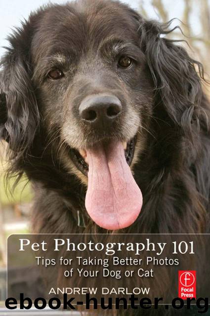 Pet Photography 101: Tips for taking better photos of your dog or cat by Darlow Andrew