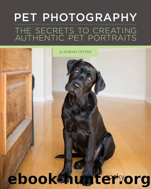 Pet Photography by Norah Levine