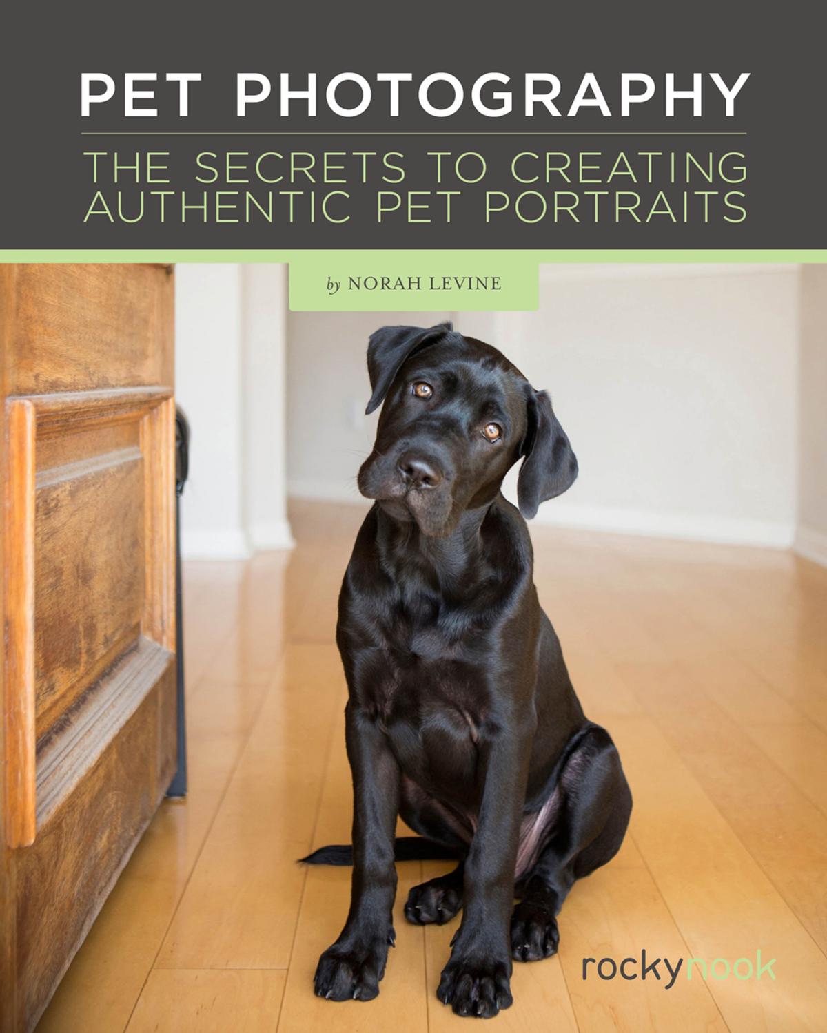 Pet Photography: The Secrets to Creating Authentic Pet Portraits (repost) by Norah Levine