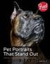 Pet Portraits That Stand Out: Creating a Classic Photograph of Your Cat or Dog by Alan Hess