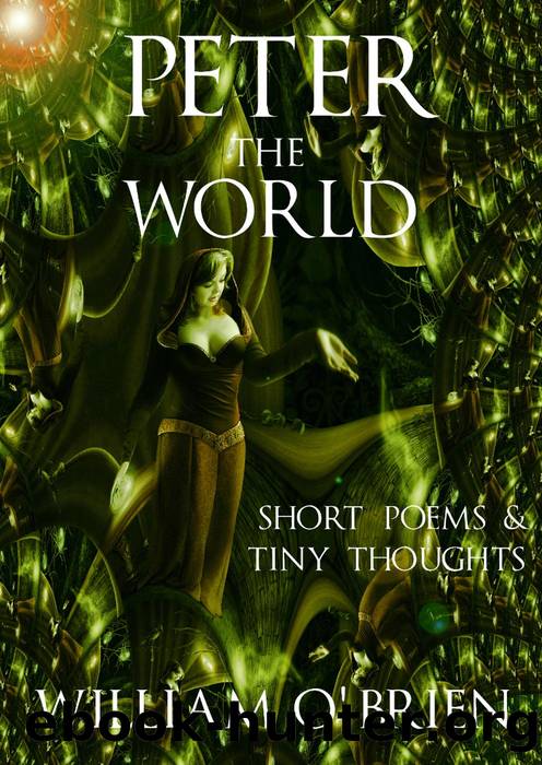 Peter--The World by William O'Brien
