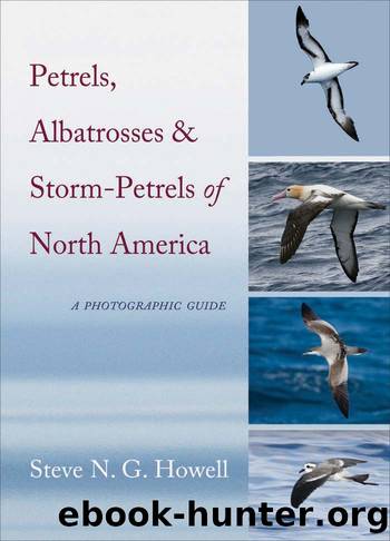 Petrels, Albatrosses, and Storm-Petrels of North America by Steve N. G. Howell