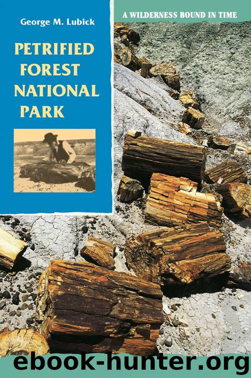 Petrified Forest National Park by George M. Lubick