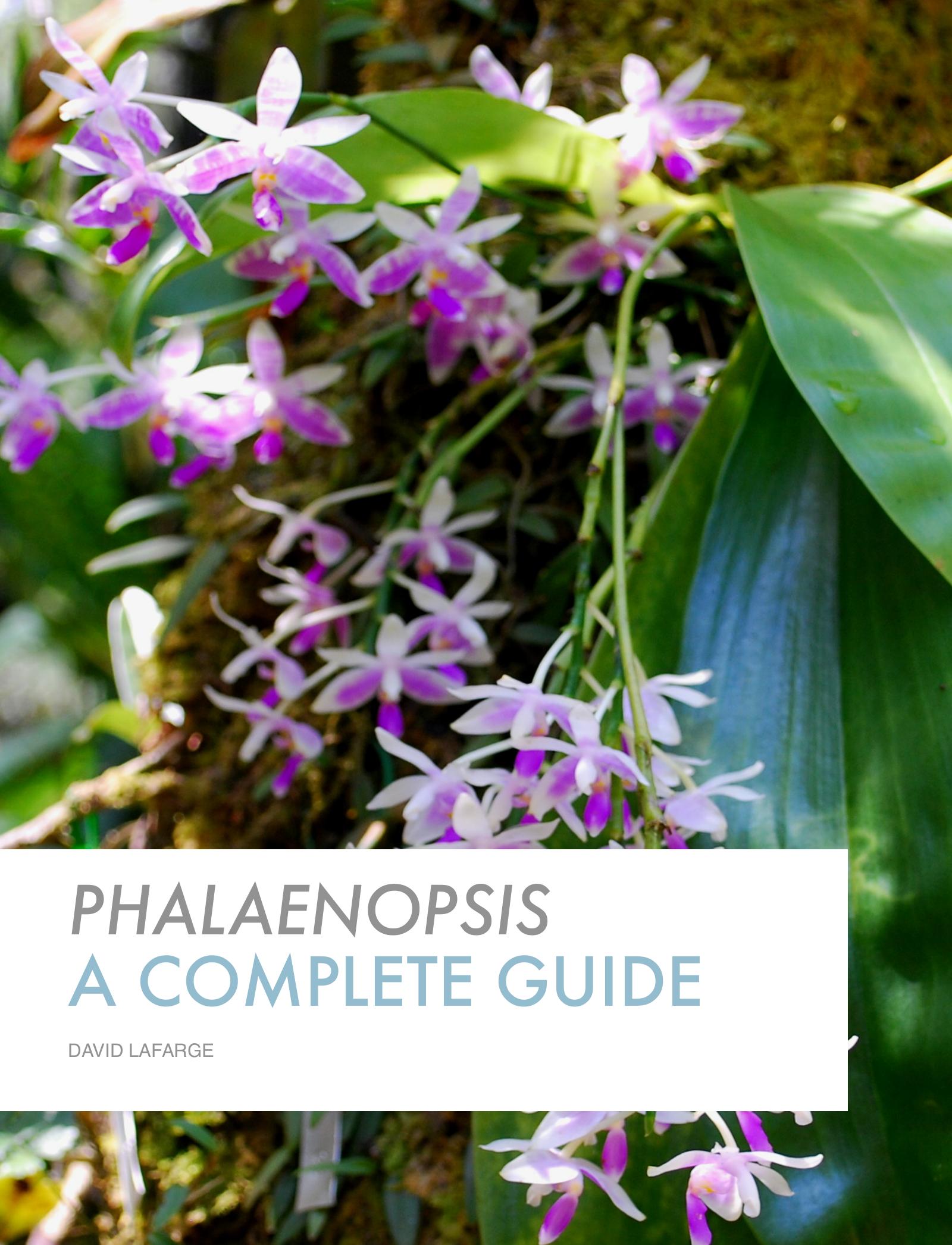 Phalaenopsis - A Complete Guide by David Lafarge