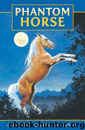 Phantom Horse 1: Phantom Horse by Pullein-Thompson Christine