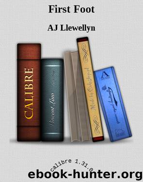 Phantom Lover 15 - First Foot by AJ Llewellyn