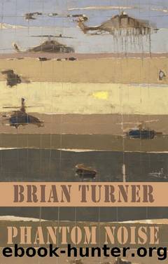 Phantom Noise by Brian Turner