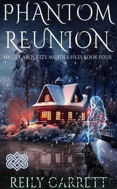 Phantom Reunion: Psychic suspense mystery with a romantic twist by Reily Garrett