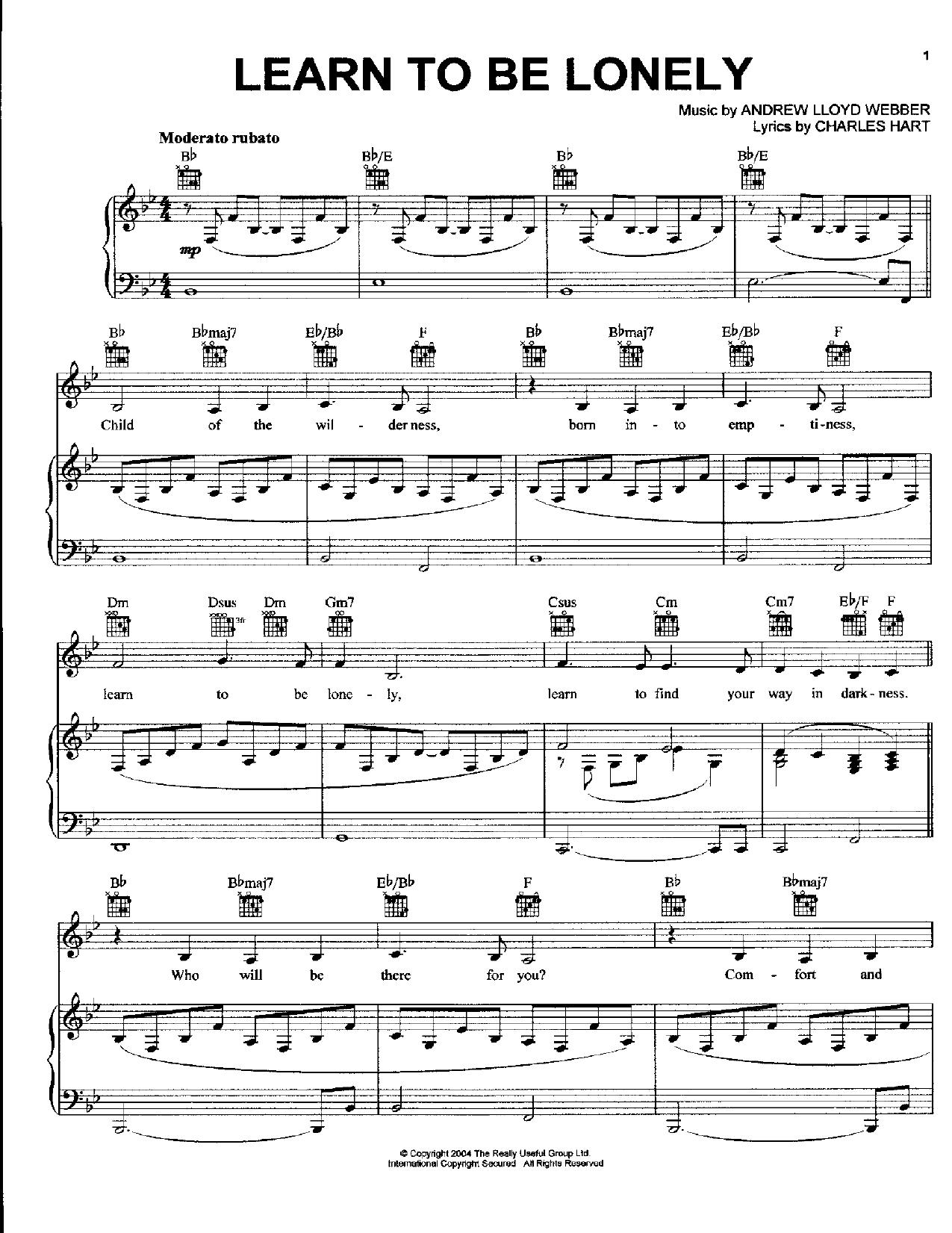 Phantom of the Opera by Learn to be Lonely