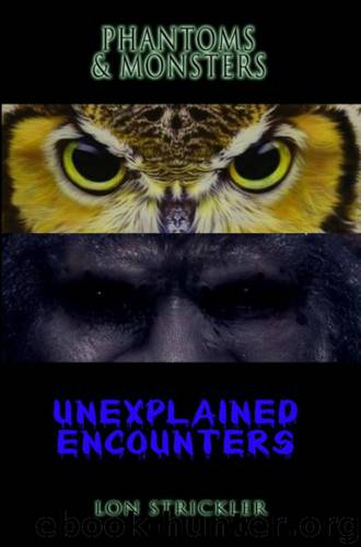 Phantoms & Monsters: Unexplained Encounters by Strickler Lon