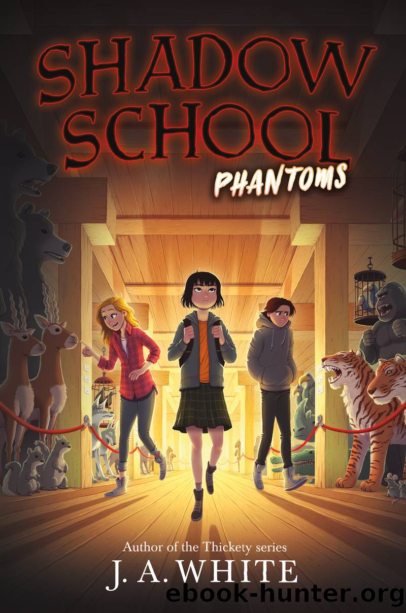 Phantoms by J. A. White