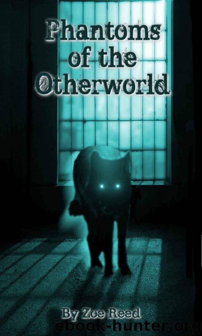 Phantoms of the Otherworld (In Spiritu Et Veritate) by Reed Zoe