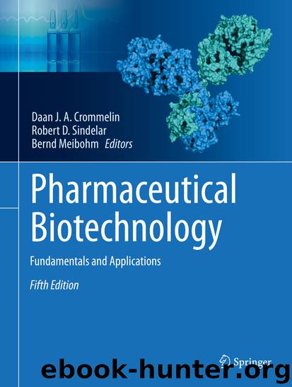 Pharmaceutical Biotechnology by Daan J. A. Crommelin & Robert D. Sindelar & Bernd Meibohm