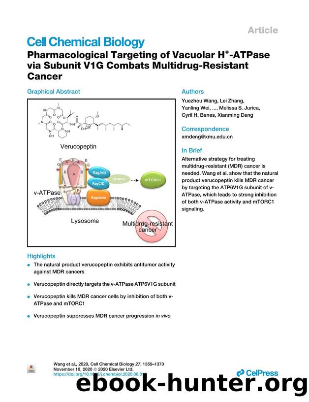 Pharmacological Targeting of Vacuolar H+-ATPase via Subunit V1G Combats Multidrug-Resistant Cancer by unknow