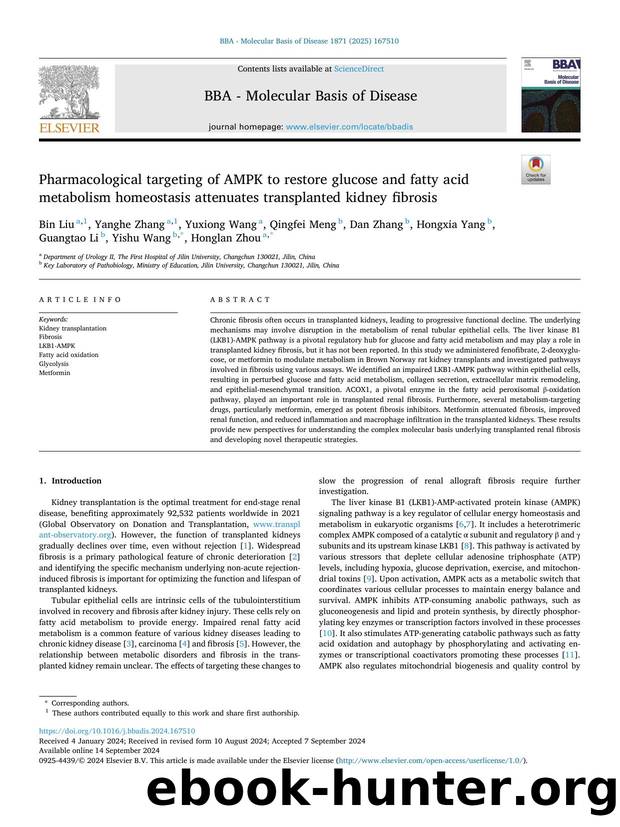 Pharmacological targeting of AMPK to restore glucose and fatty acid metabolism homeostasis attenuates transplanted kidney fibrosis by unknow