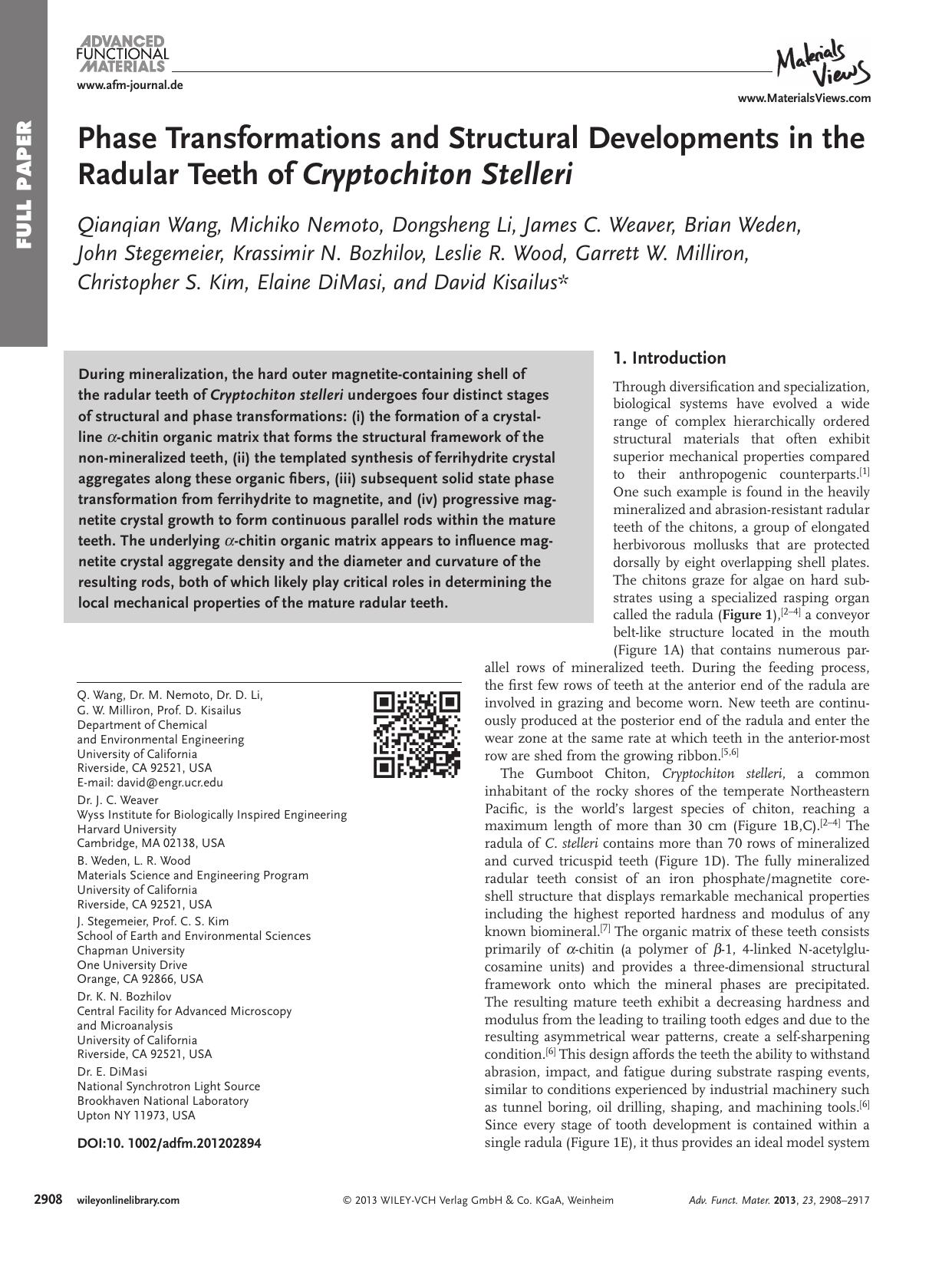 Phase Transformations and Structural Developments in the Radular Teeth of Cryptochiton Stelleri by wbpm
