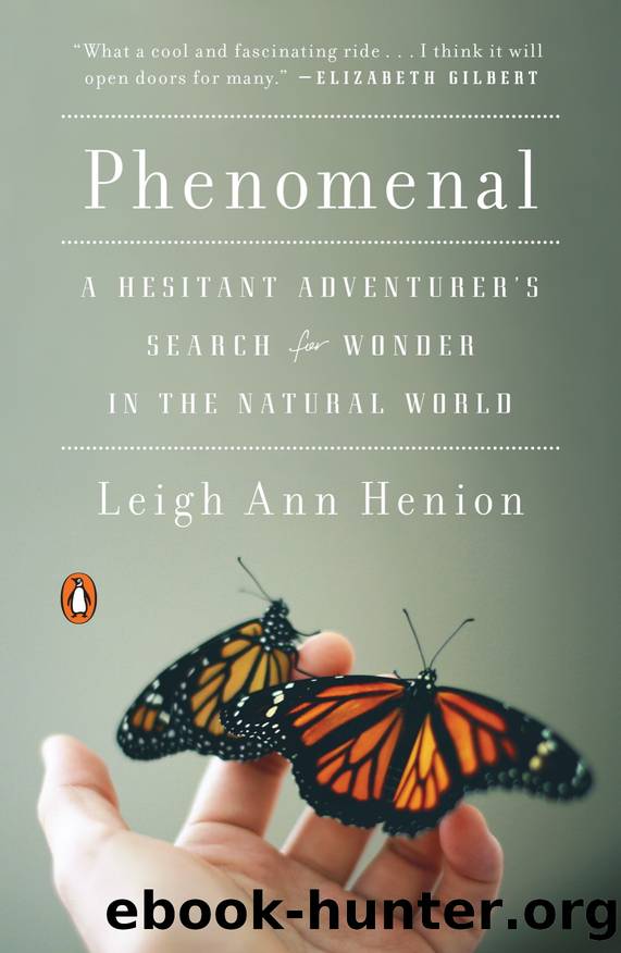 Phenomenal by Leigh Ann Henion