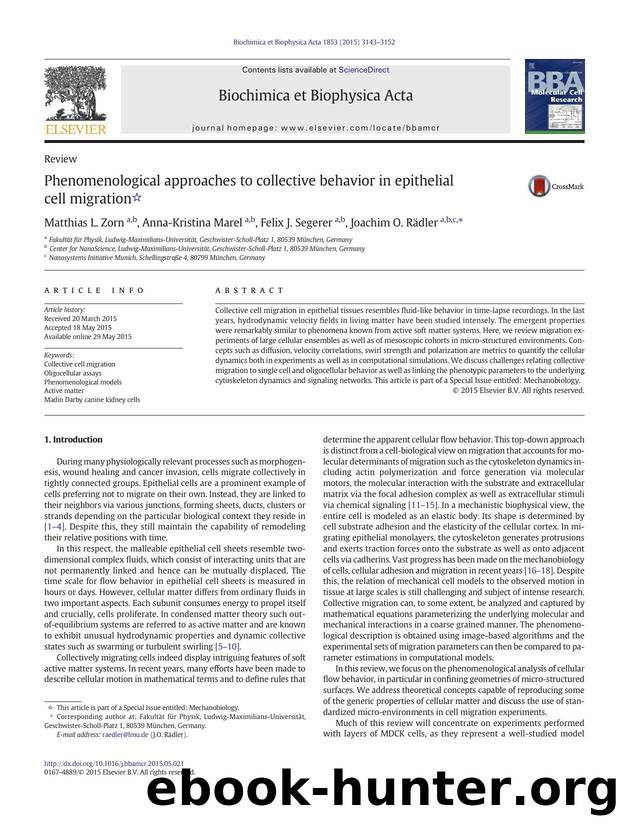 Phenomenological approaches to collective behavior in epithelial cell migration by Matthias L. Zorn & Anna-Kristina Marel & Felix J. Segerer & Joachim O. Rädler