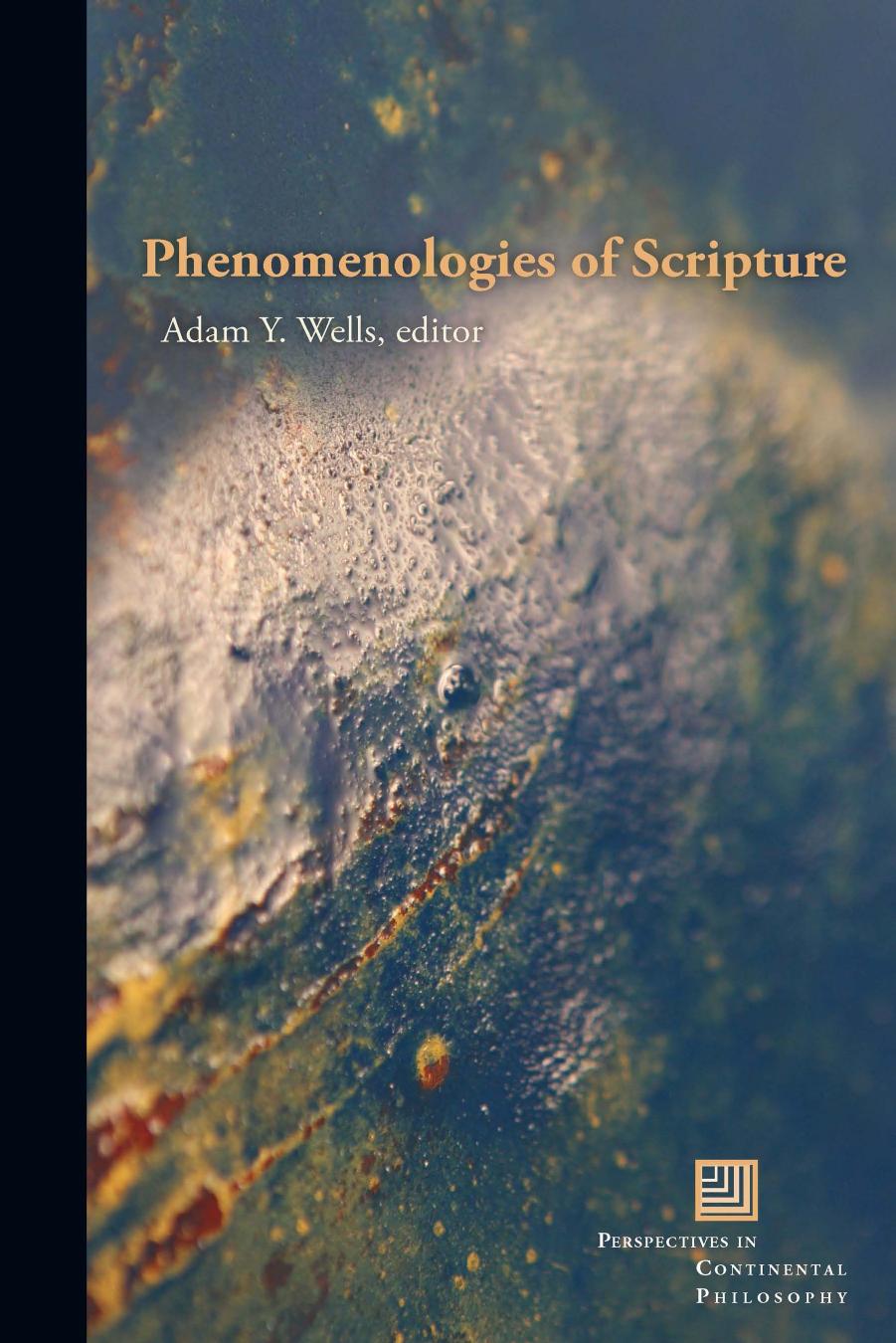 Phenomenologies of Scripture by Adam Y. Wells