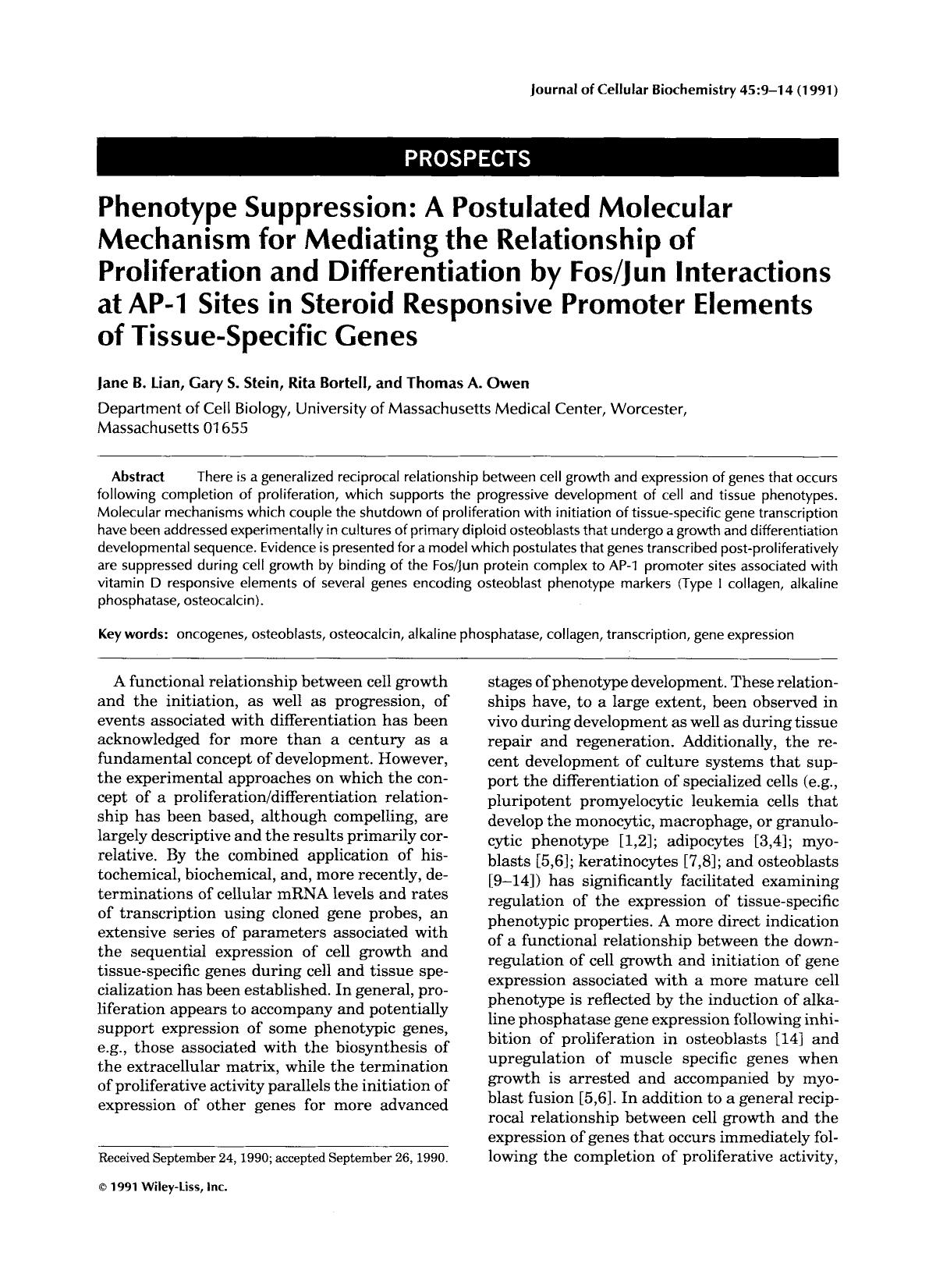 Phenotype suppression: A postulated molecular mechanism for mediating the relationship of proliferation and differentiation by FosJun interactions at AP-1 sites in steroid responsi by Unknown