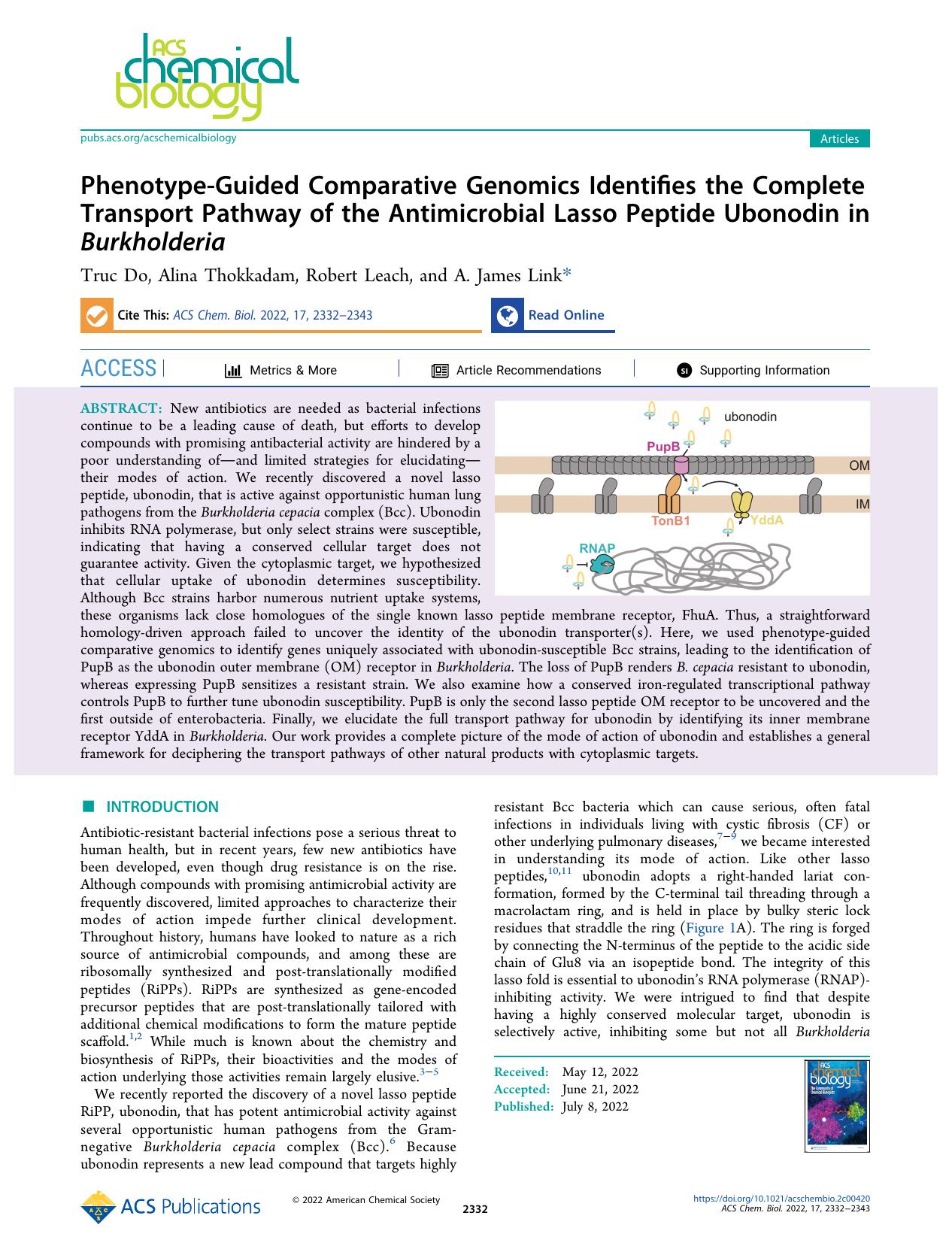 Phenotype-Guided Comparative Genomics Identifies the Complete Transport Pathway of the Antimicrobial Lasso Peptide Ubonodin in Burkholderia by Truc Do Alina Thokkadam Robert Leach and A. James Link