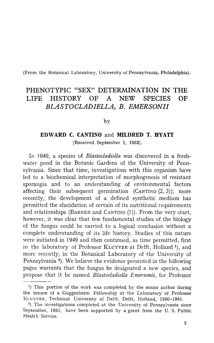Phenotypic &#x201C;sex&#x201D; determination in the life history of a new species of <Emphasis Type="Italic">Blastocladiella, B. Emersonii <Emphasis> by Unknown