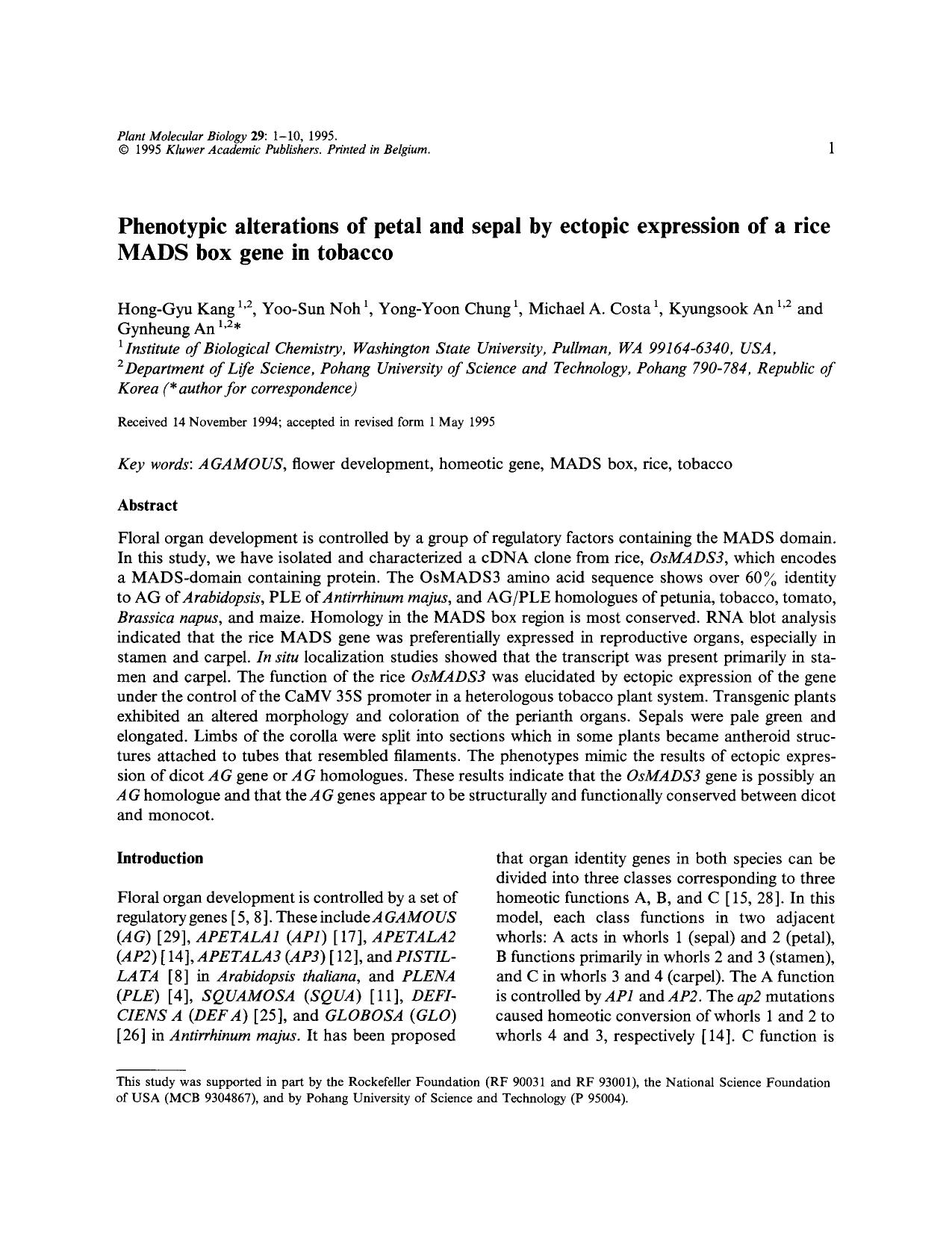 Phenotypic alterations of petal and sepal by ectopic expression of a rice MADS box gene in tobacco by Unknown
