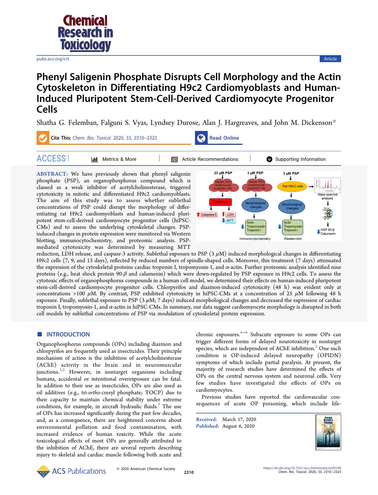 Phenyl Saligenin Phosphate Disrupts Cell Morphology and the Actin Cytoskeleton in Differentiating H9c2 Cardiomyoblasts and Human-Induced Pluripotent Stem-Cell-Derived Cardiomyocyte Progenitor Cells by Shatha G. Felemban Falguni S. Vyas Lyndsey Durose Alan J. Hargreaves and John M. Dickenson
