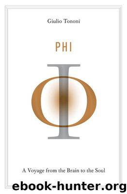 Phi: A Voyage From the Brain to the Soul by Giulio Tononi