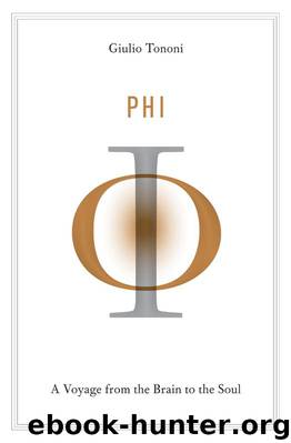 Phi: A Voyage from the Brain to the Soul by Giulio Tononi