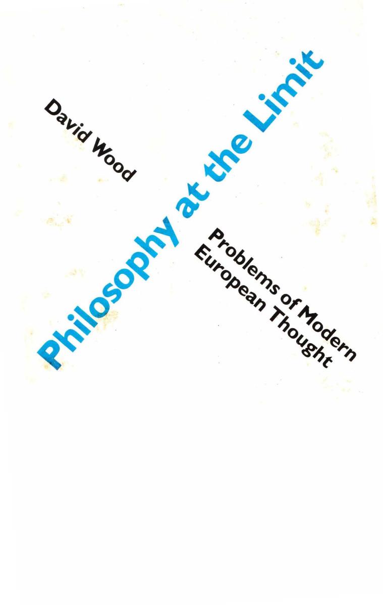 Philosophy at the Limit by David Wood