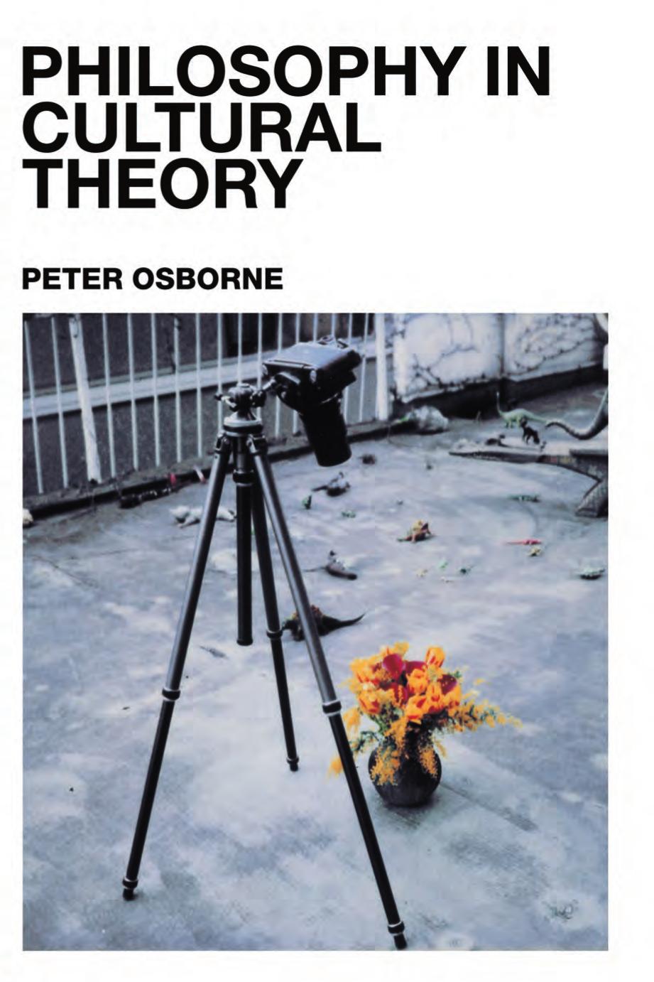 Philosophy in Cultural Theory by Peter Osborne
