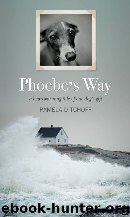 Phoebe's Way by Pamela Ditchoff