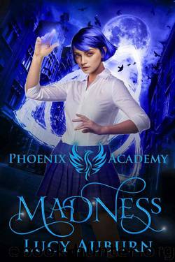 Phoenix Academy: Madness (Blue Phoenix Book 1) by Lucy Auburn