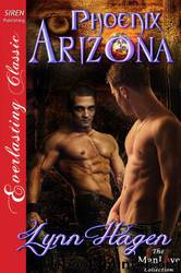 Phoenix Arizona by Lynn Hagen