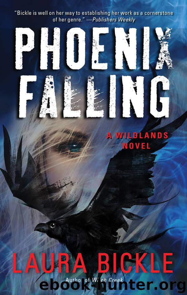 Phoenix Falling by Laura Bickle