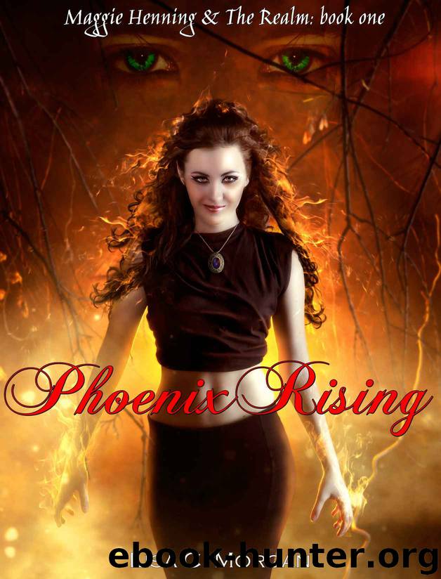 Phoenix Rising (Maggie Henning & The Realm Book 1) by Lisa Morgan