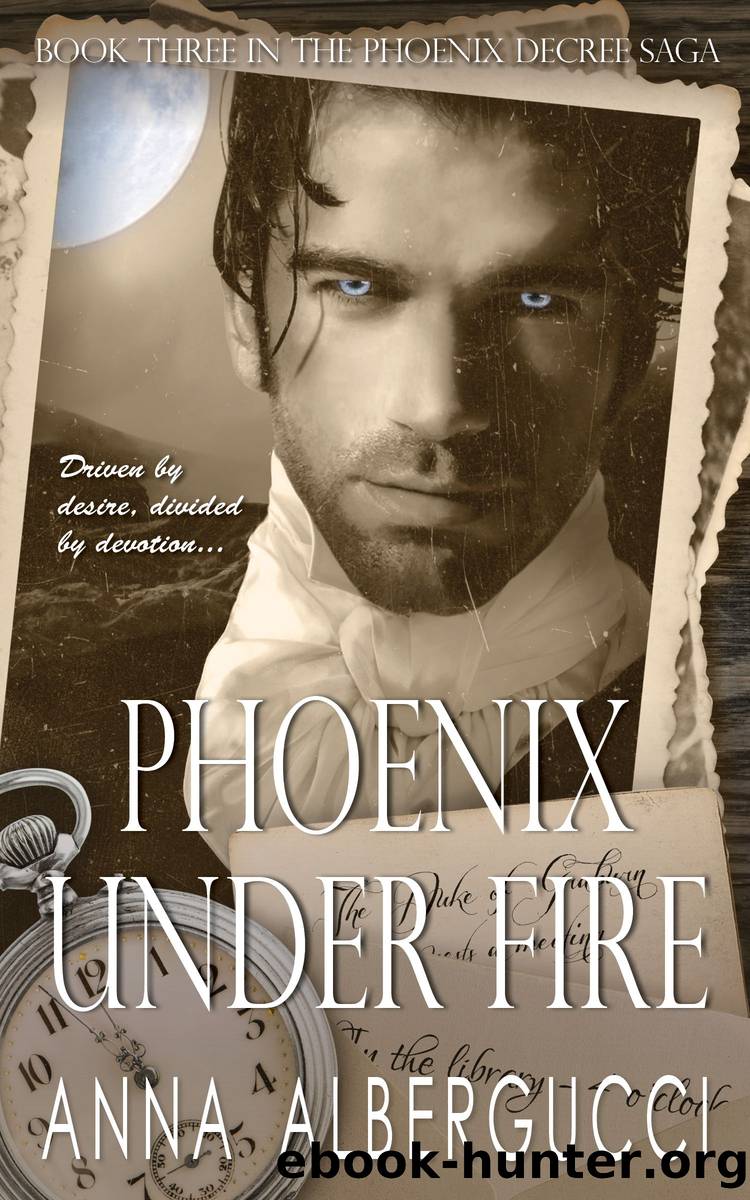 Phoenix Under Fire by Anna Albergucci