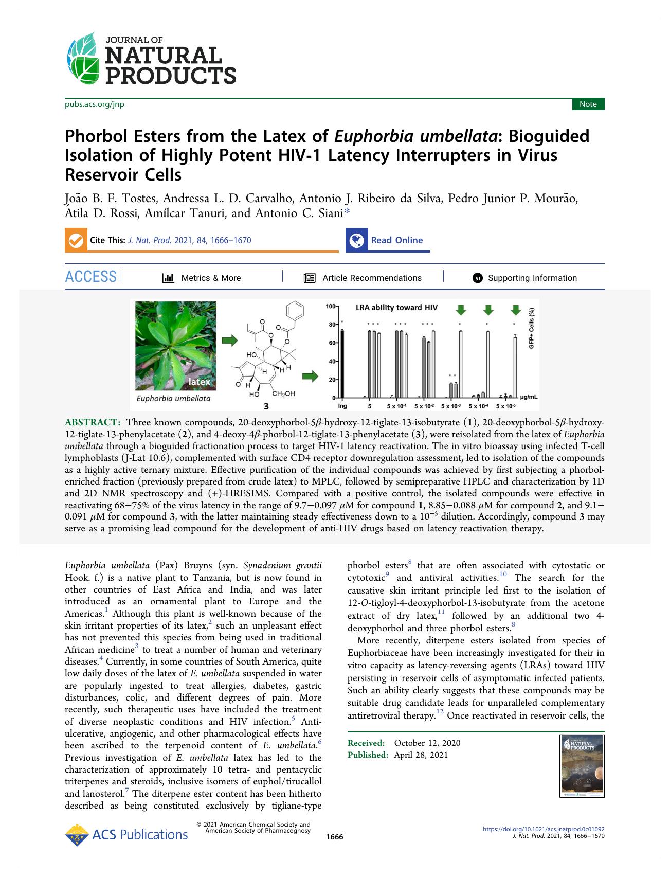 Phorbol Esters from the Latex of Euphorbia umbellata: Bioguided Isolation of Highly Potent HIV-1 Latency Interrupters in Virus Reservoir Cells by unknow