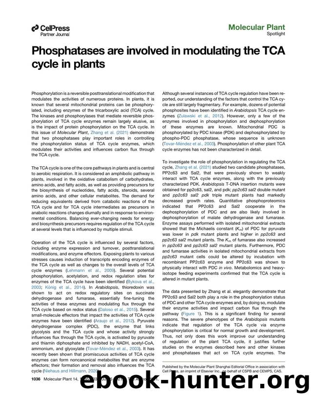 Phosphatases are involved in modulating the TCA cycle in plants by Thomas D. Niehaus